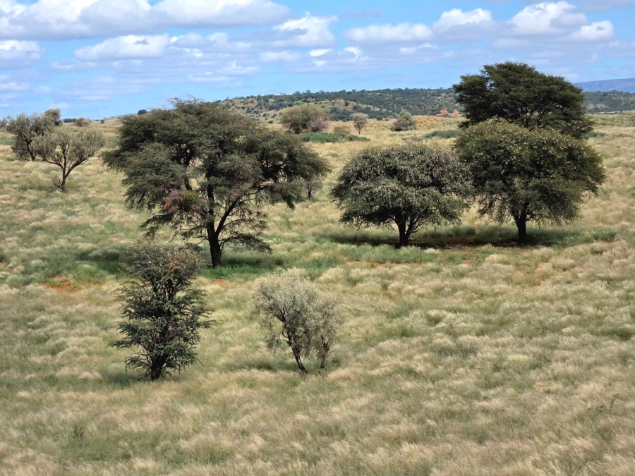 Commercial Property for Sale in Griekwastad Rural Northern Cape